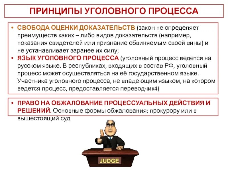 Принципы уголовного судопроизводства. Принципы судопроизводства. Уголовный процесс. Уголовный процесс в России. Безопасность участников судопроизводства