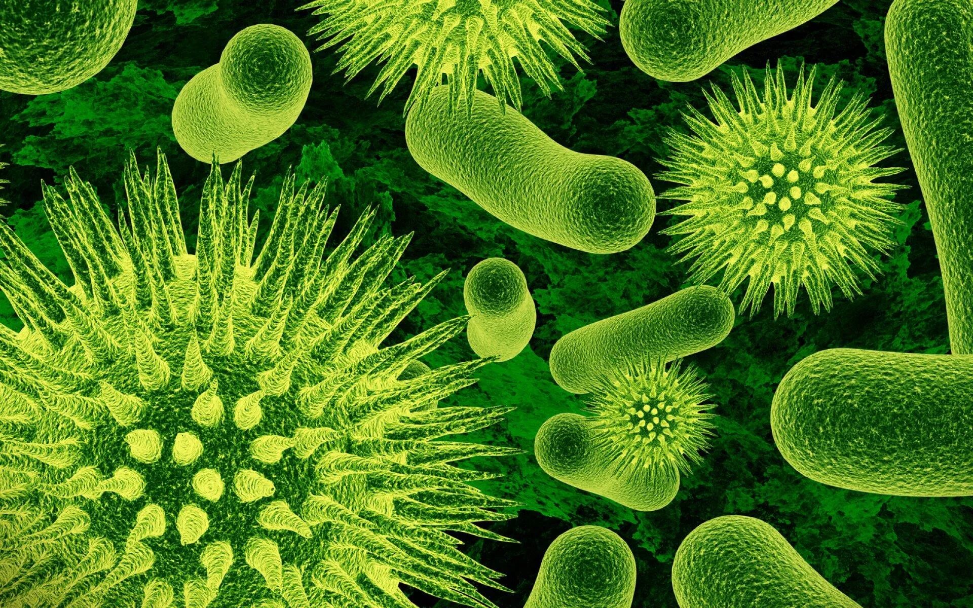Вирус гриппа одноклеточный. Бактерии одноклеточные организмы. Бактерии аэробы. Зеленые бактерии. Вирусы и микробы.