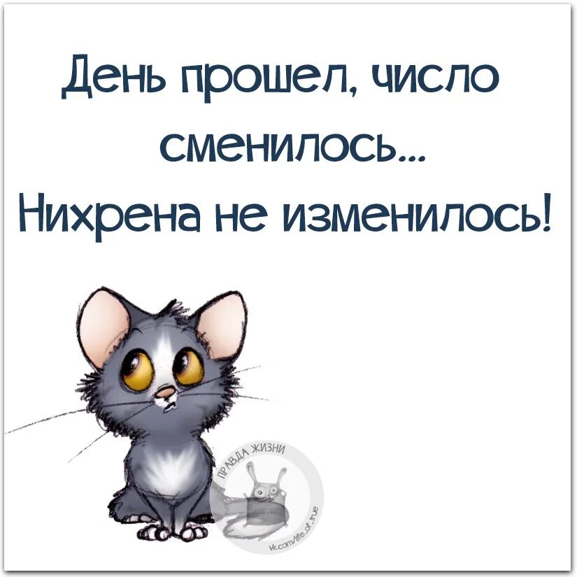 Ничего не изменилось то есть. День прошел число сменилось. День прошёл число сменилось ничего не изменилось. Картинки как день прошел прикольные. Картинка день прошел число сменилось.