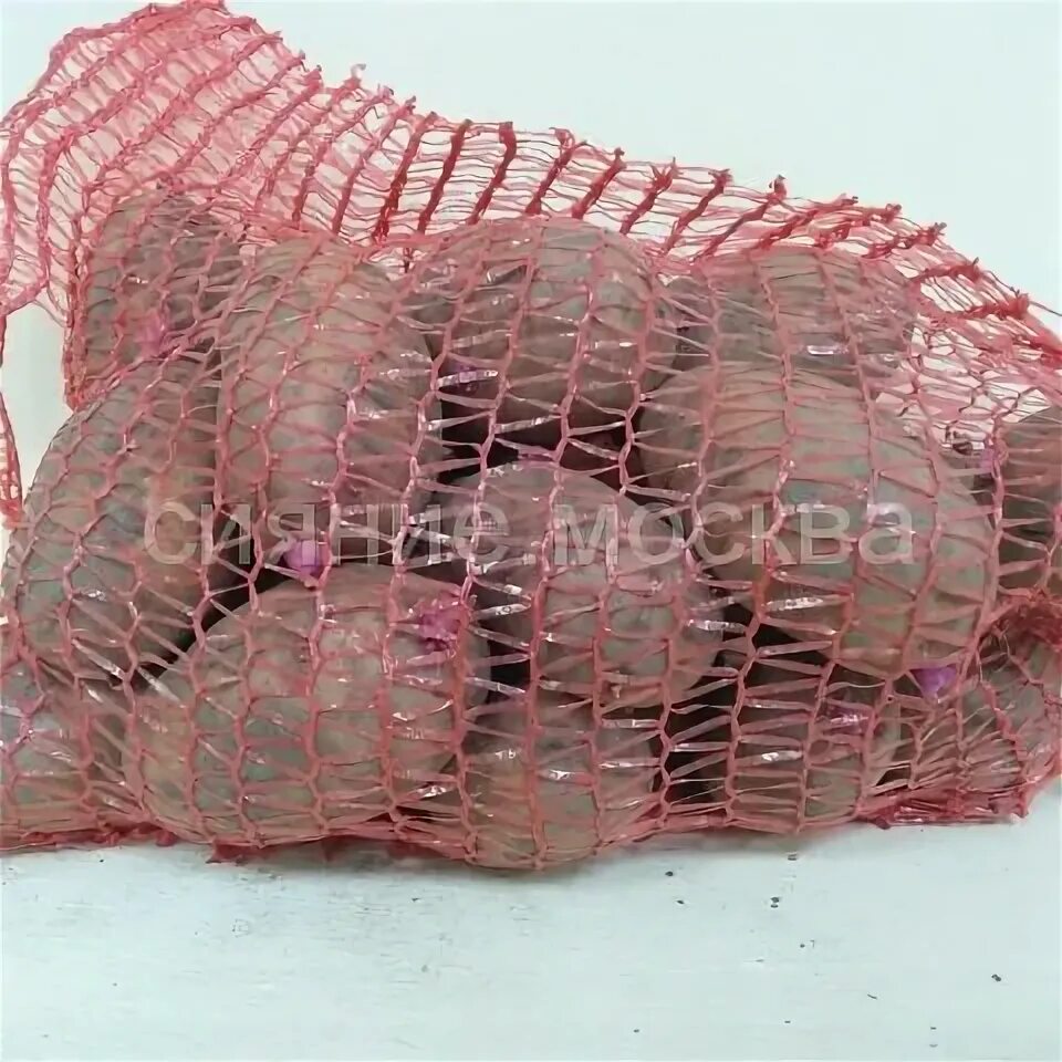 Картофель сорт женечка описание. Картофель женечка (элита). картофель женечка. картофель женечка фото.
