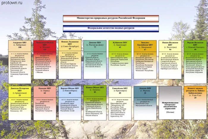 Министерство природных ресурсов и экологии структура. Агентство водных ресурсов структура. Федеральное агентство водных ресурсов структура. Структура управления водными ресурсами в РФ. Структура природных ресурсов России.