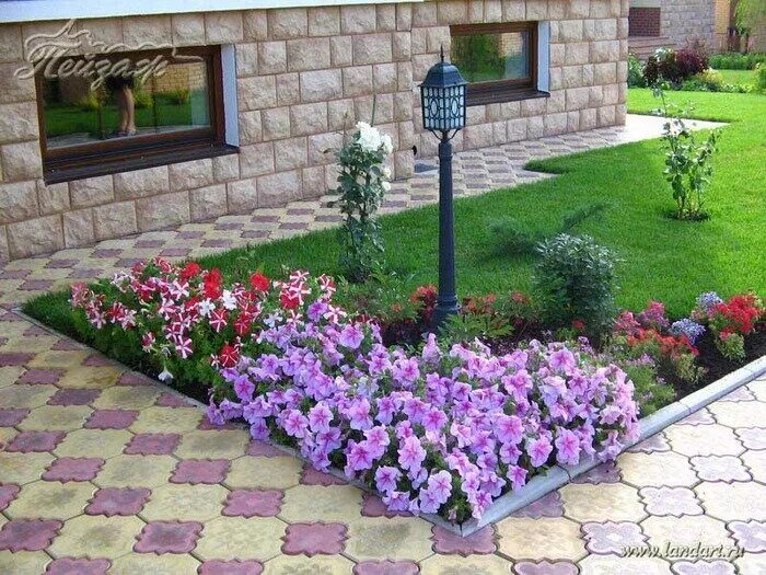 Рабатка тунберга однолетник. Красивые прямоугольные клумбы. Прямоугольная клумба. Формы цветочных клумб. Клумба прямоугольной формы ответ.