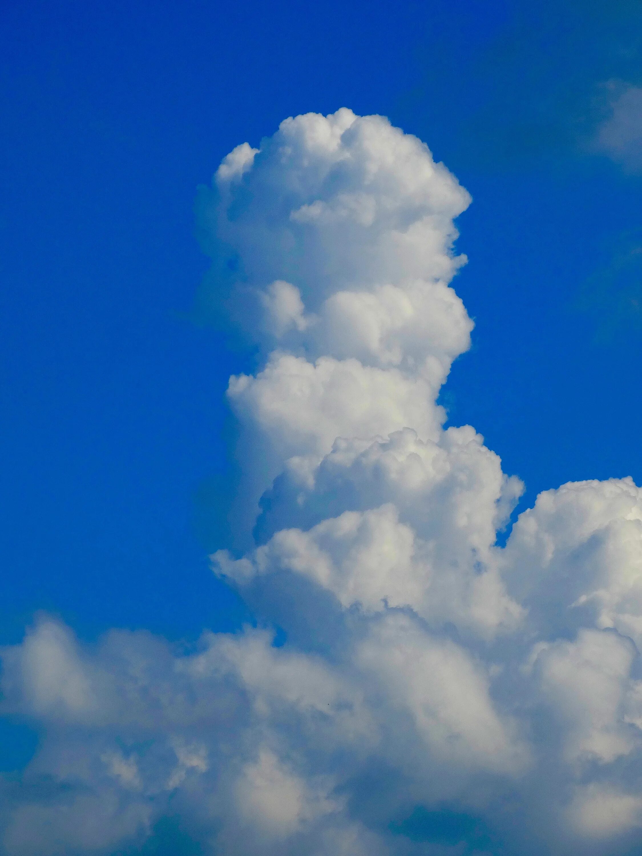Облако картинка. Cumulus humilis облака. Высокие облака. Небо Кучевые облака. Кучерявые облака.