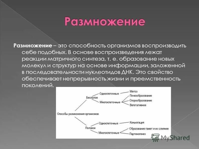 Объект изучения биологии 3