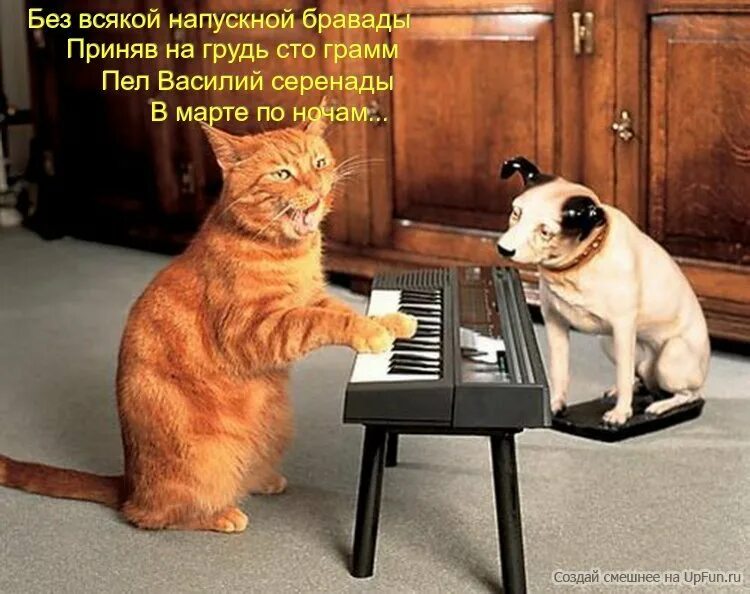 Спой кота. Поющие животные. Кот поет. Смешные музыкальные картинки. Смешные музыканты.