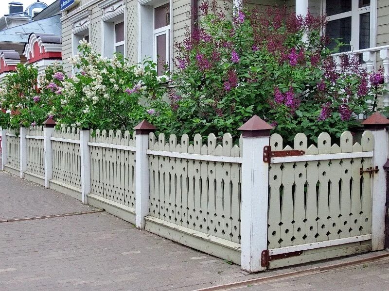 Палисадник каскад. Палисадник энфилд. Палисадник энфилд. Клумба бабушкин палисадник. Палисаднички.