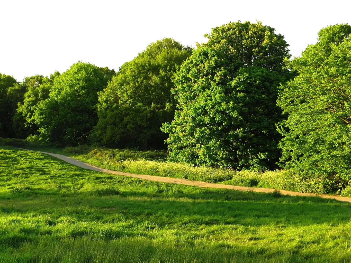 Лето. Времена года лето. Лето фото. Картинки лето природа.