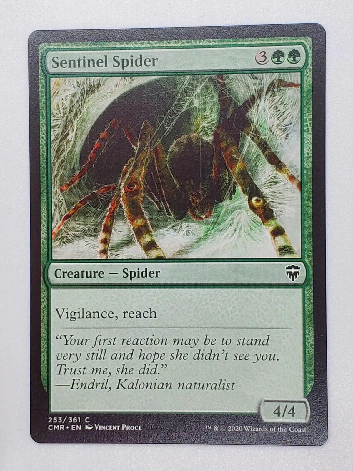 Sentinel карты. Magic the gathering паук. часовой паук. паук стражник. sentinel карта.