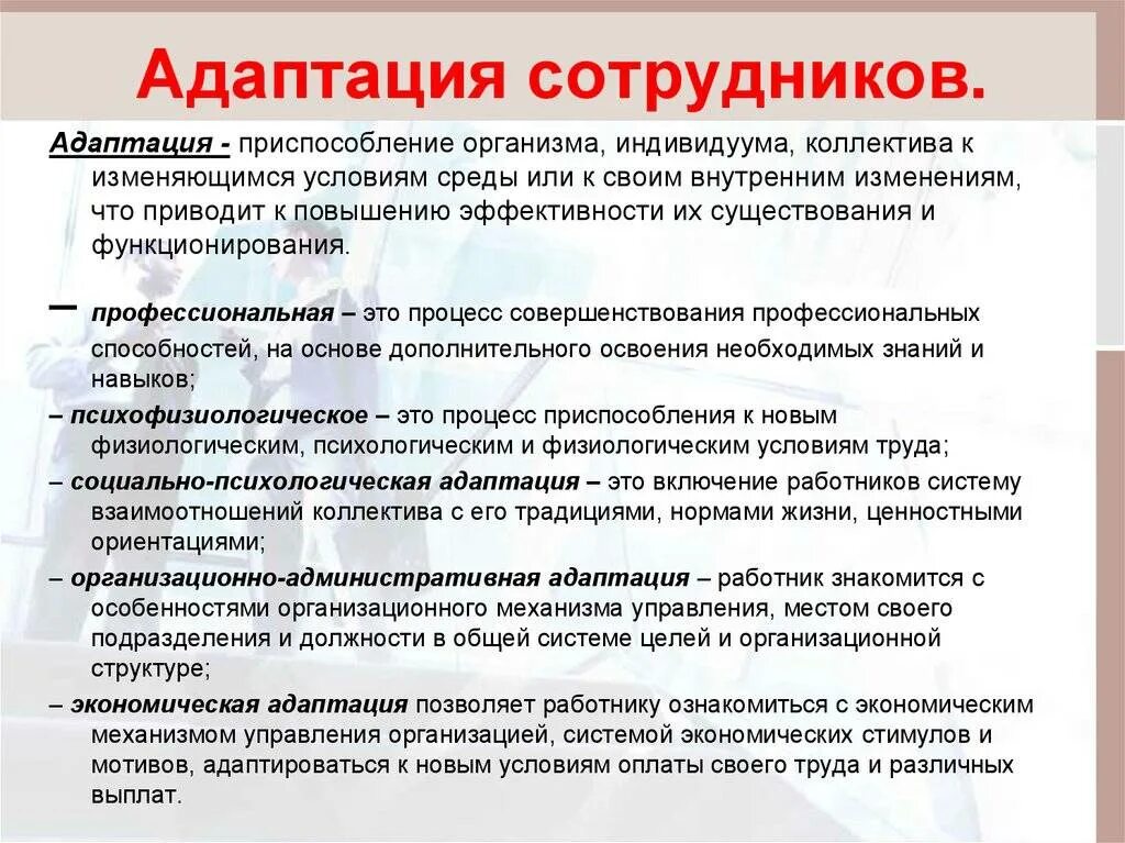 Адаптация новых сотрудников. Стратегии адаптации в коллективе. Стратегии адаптации нового сотрудника в коллективе. Адаптация специалистов на рабочем месте.