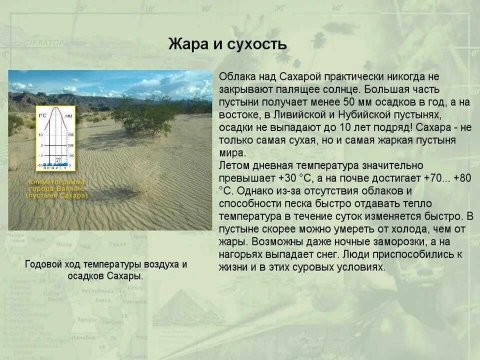 Сколько осадков выпадает в пустыне за год