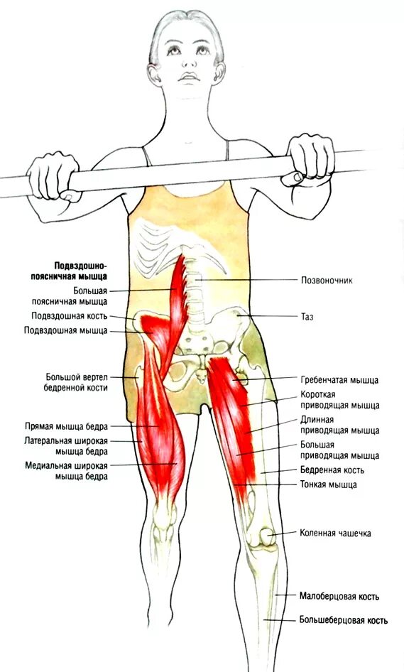 Растяжка подвздошно-поясничной мышцы. Укорочение подвздошно-поясничной мышцы. Растяжка повздошнопояснтчноц мышцы. Синдром подвздошно-поясничной мышцы лечение.