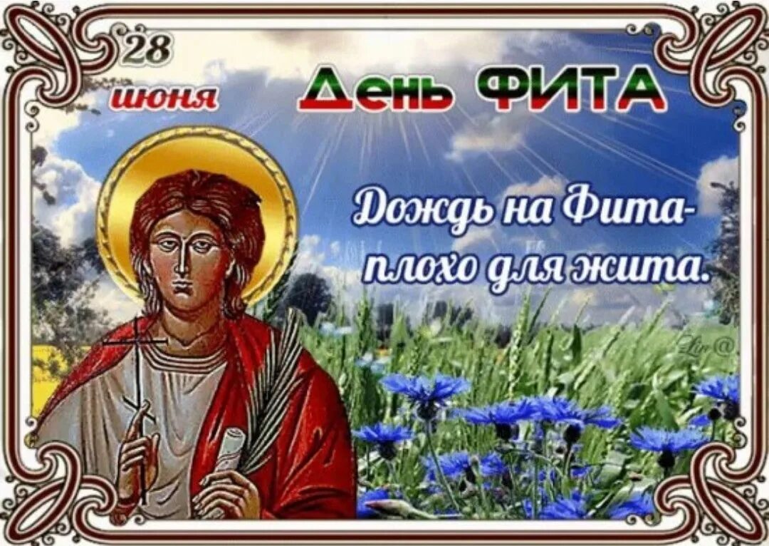 28 июня. День фита 28 июня открытки. Народный календарь 28 июня день фита. Народный календарь 28 июня день фита. День фита и амоса 28 июня.