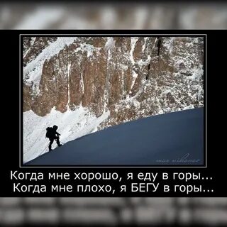 Фраза лучше гор