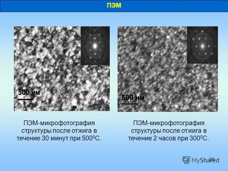 растровая электронная микрофотография. продольный срез реснички. описание микрофотографий. дробление микрофотография. оптическая микроскопия микрофотография.