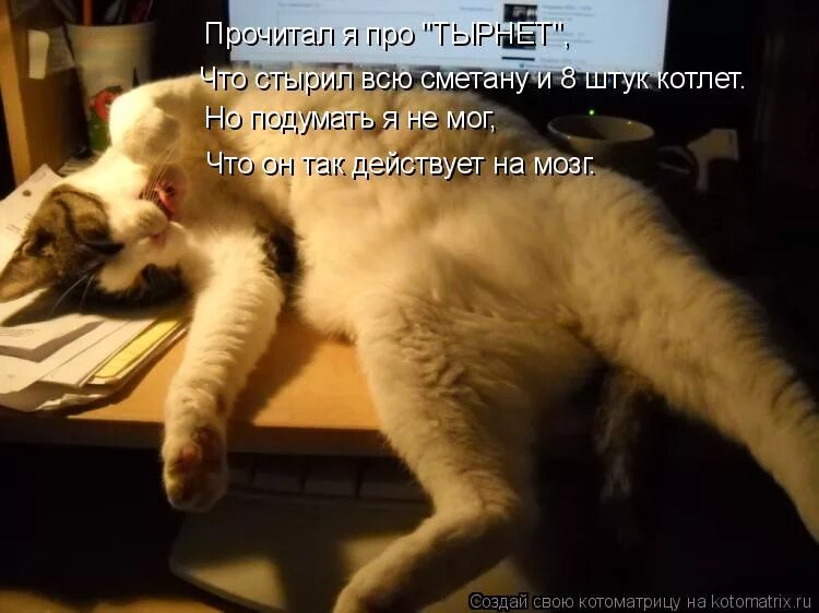 попался вирус. а вирус то оказался аристократом. попался вирус. попался вирус. вирусы на компьютере презентация.