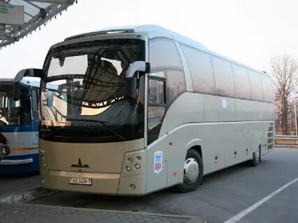 Автобусные экскурсии в белоруссию из москвы
