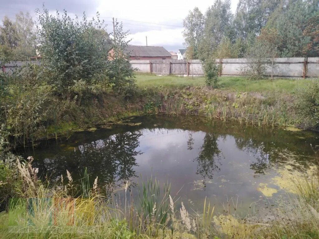 Воскресенск чемодурово центральная 8. Чемодурово ул. Погода чемодурово воскресенский. Погода чемодурово воскресенский. Погода чемодурово воскресенский.