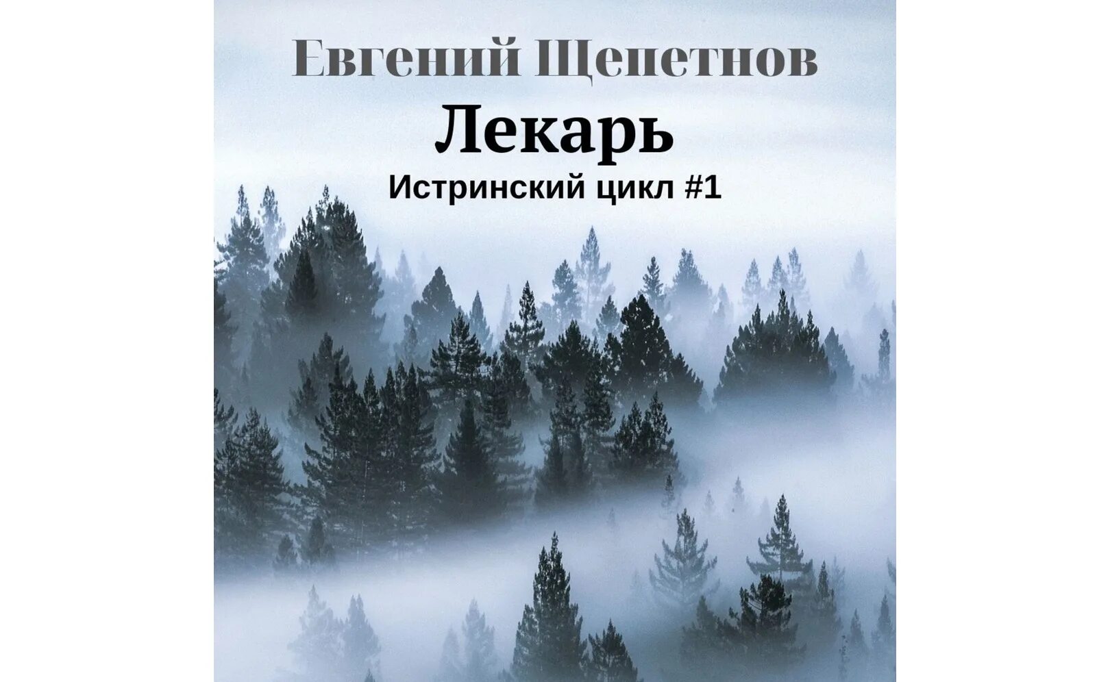 Слушать аудиокнигу идеальный лекаря 5. Истринский цикл Щепетнов.