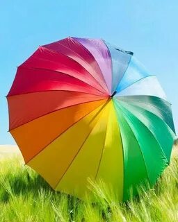 Colorful summer