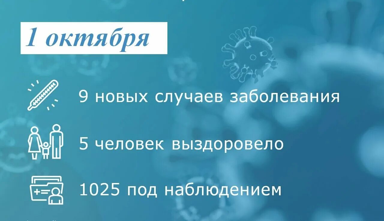 Статистика коронавируса в Таганроге. Коронавирус в Таганроге. Иваново коронавирус последние данные. Коронавирус ростов на дону