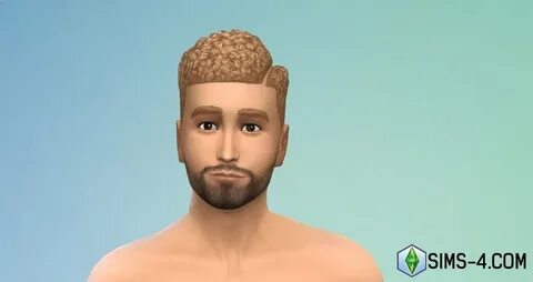 Sims update