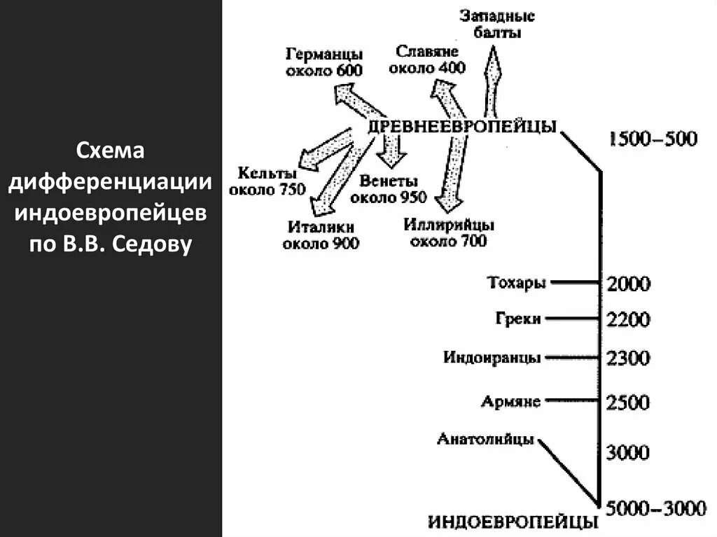 Схема дифференциации. Седов этногенез ранних славян. схема дифференциации индоевропейцев. этногенез славян схема. ретроспективная схема развития славянских древностей.