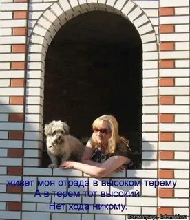 Это значит моя отрада