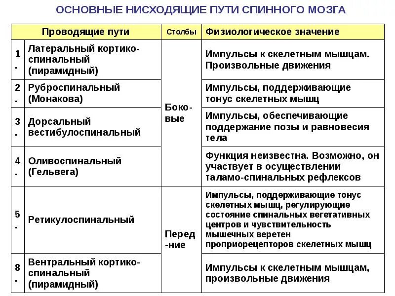 Нисходящие пути спинного. Перечислите восходящие проводящие пути спинного мозга.. Нисходящие двигательные пути спинного мозга. Проводящие пути спинного мозга анатомия таблица. Тракты спинного мозга таблица.