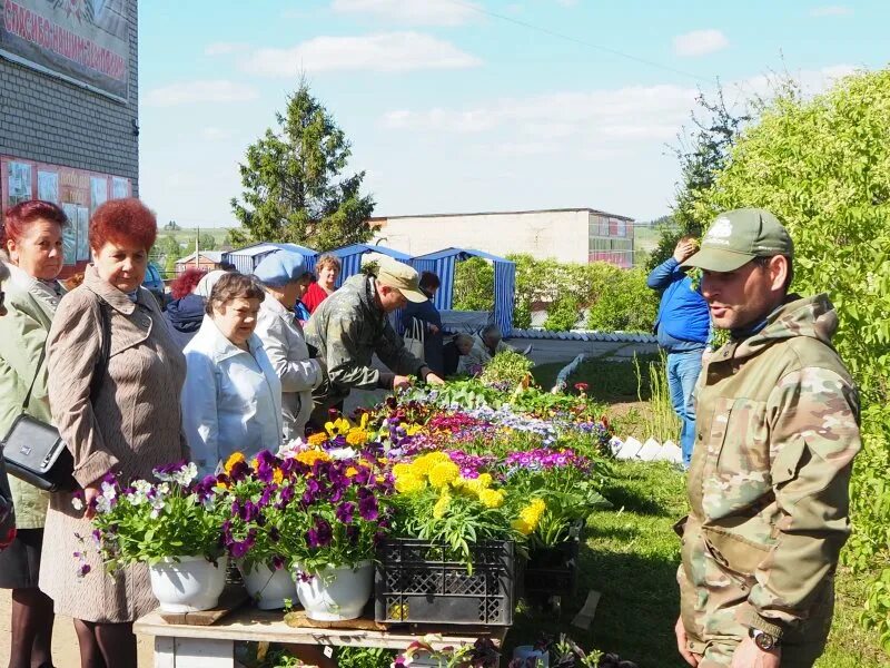 Большесосновский район Пермский край. Село Петропавловск Пермский край Большесосновский район. ТОС Заболотово. Заболотово Большесосновский район. Большесосновский районный суд пермского края