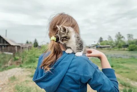 Включи девушку кота