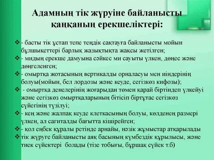 Студенттер тәжірибесіз секс