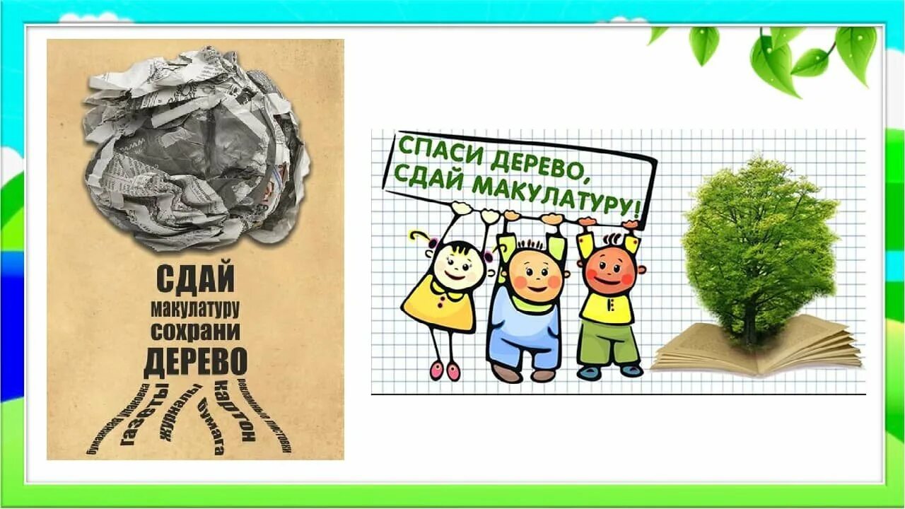 Сбор макулатуры. Сбор макулатуры в школе. Собери макулатуру Спаси дерево. Собери макулатуру сохрани дерево.