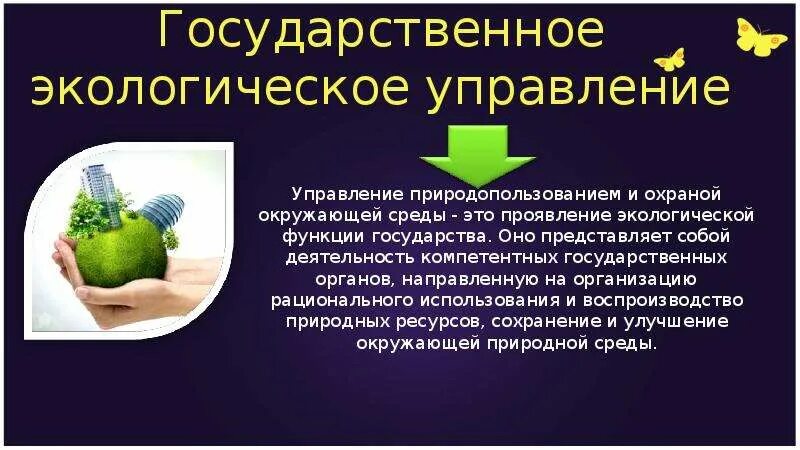 Государственные органы экологического управления. Государственное управление в сфере экологии. Понятие органов экологического управления. Система государственного экологического управления. Функции органов гос экологического управления.