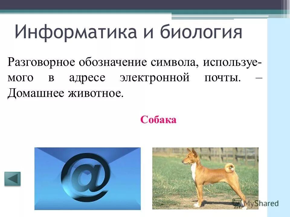 Урок биология информатика. Собака символ. Значок "собака". Символ собака значение. Собака электронная почта.