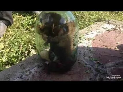 Как избавиться от карбыша на участке