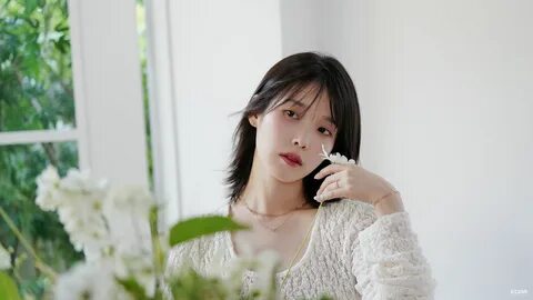 Go to previous IU image. 