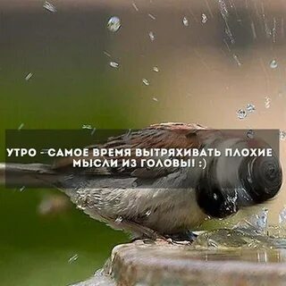 Философские мысли утром