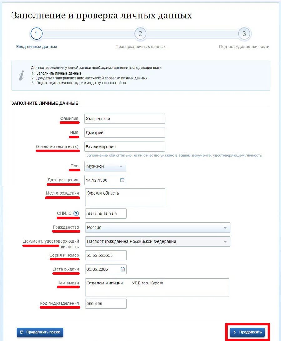 Профиль организации на госуслугах. Пример заполнения данных на госуслугах. Образец регистрации на госуслугах заполнения. Пример заполнения данных.