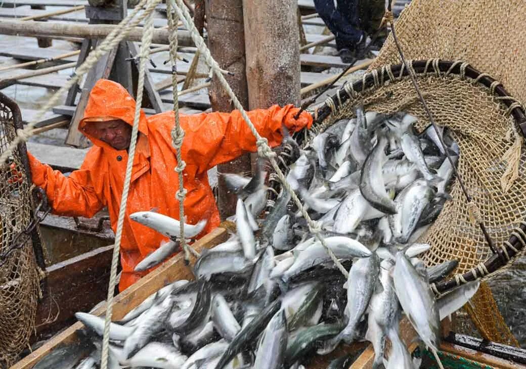 Какой промысел кроме рыболовства согласно