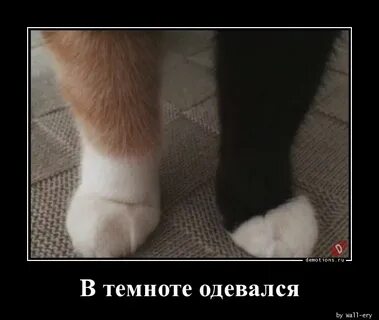 Решить надел