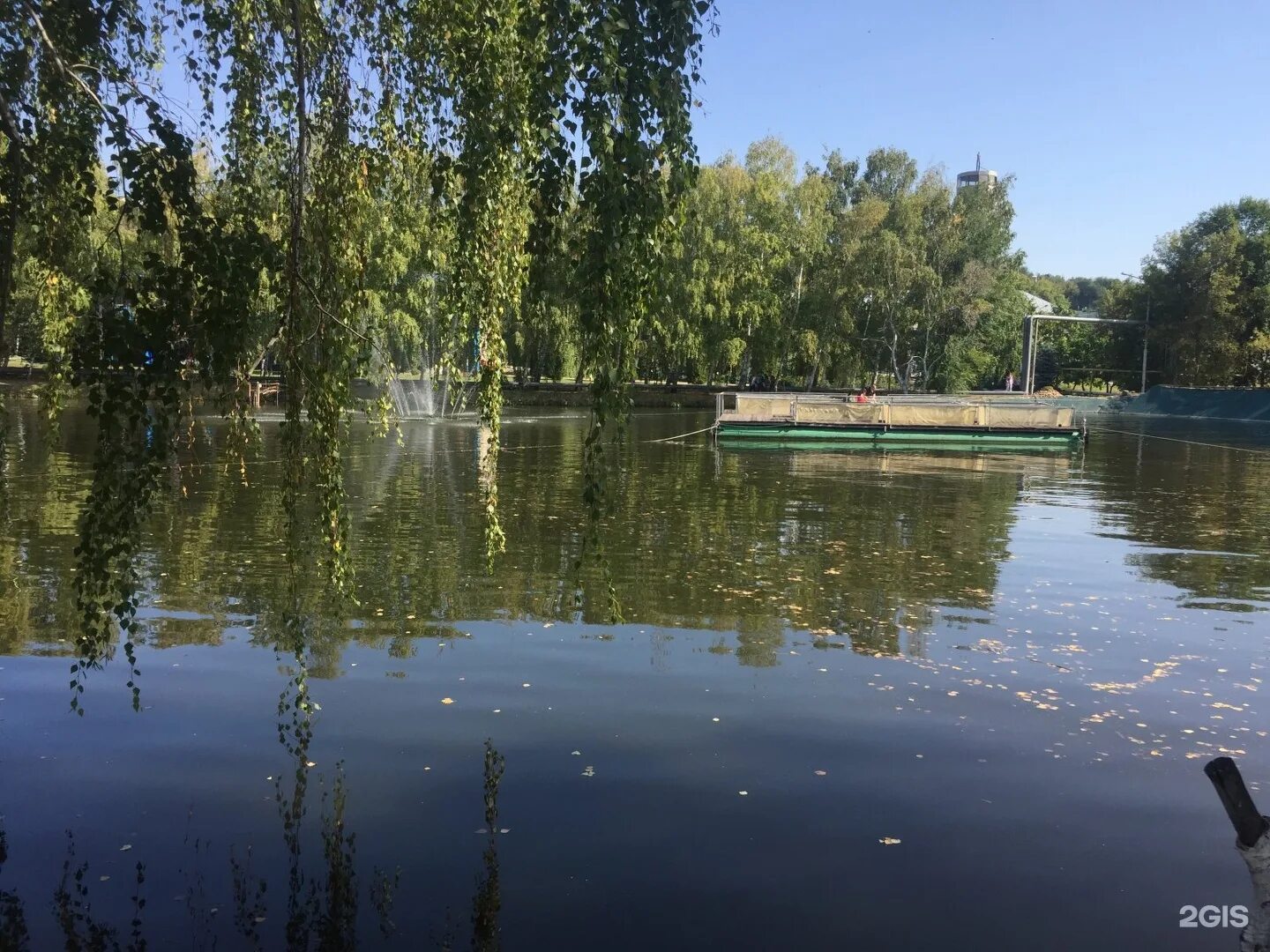 Корольков сад Саратов. Корольков парк Саратов. Корольков сад Саратов магазин. Саратов Корольков сад парк.