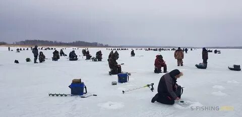 5 дней рыбалка