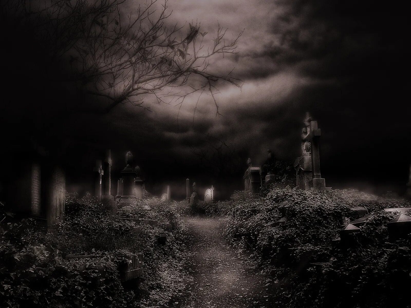 Dark ghost