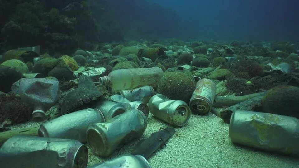 Чем опасны отходы в морях. Загрязнение вод мирового океана радиоактивными отходами. радиоактивные отходы в воде.