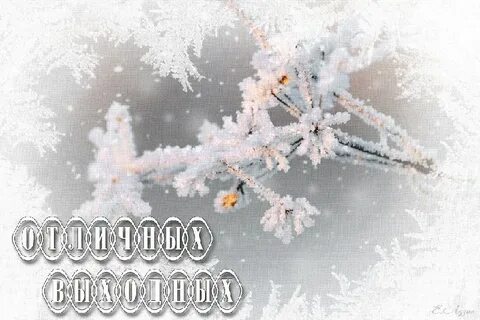 Картинки снежные доброго дня