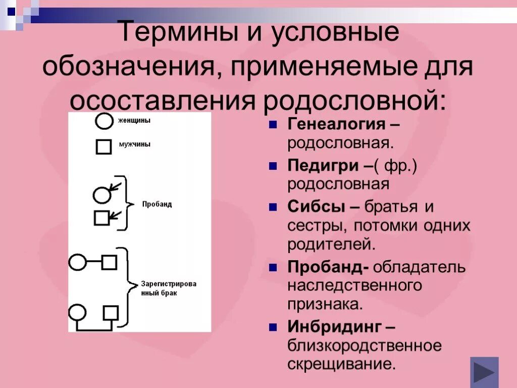 Условные обозначения генетики. Пробанд это в генетике. Пробанд и СИБСЫ. Родословная генетика пробанд. Родословная термины.