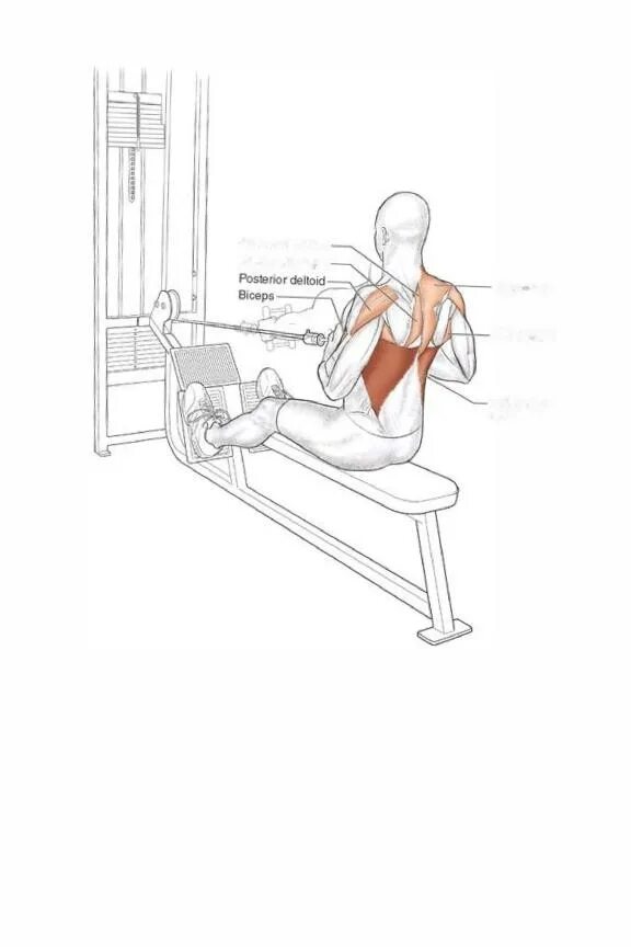 Упражнения на поясницу в тренажерном. Как качать спину на тренажере. Тяга вертикального блока 3х20. Упражнения на спину. Как качать спину на тренажере.