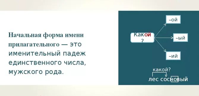 Начальной формой имени существительного является. Как определяется начальная форма прилагательного. Начальная форма прилагательных. Начальная форма имени прил. Определение начальной формы прилагательного.