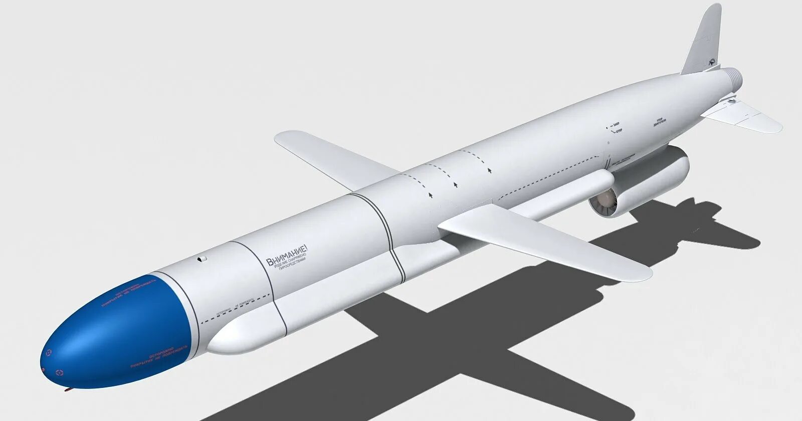 Крылатая ракета х 101. Кр х-101/102. Х-102 Крылатая ракета. Х-101/Х-555. X55 Крылатая ракета.