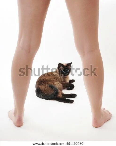 Девушка с котом на руках и голой киской между ног фото